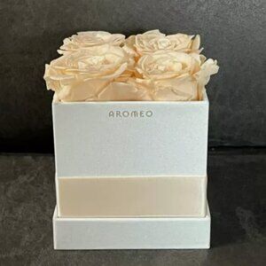 AROMEO Light Pink Roses A Gift That Lasts Preserved Fresh Flowers